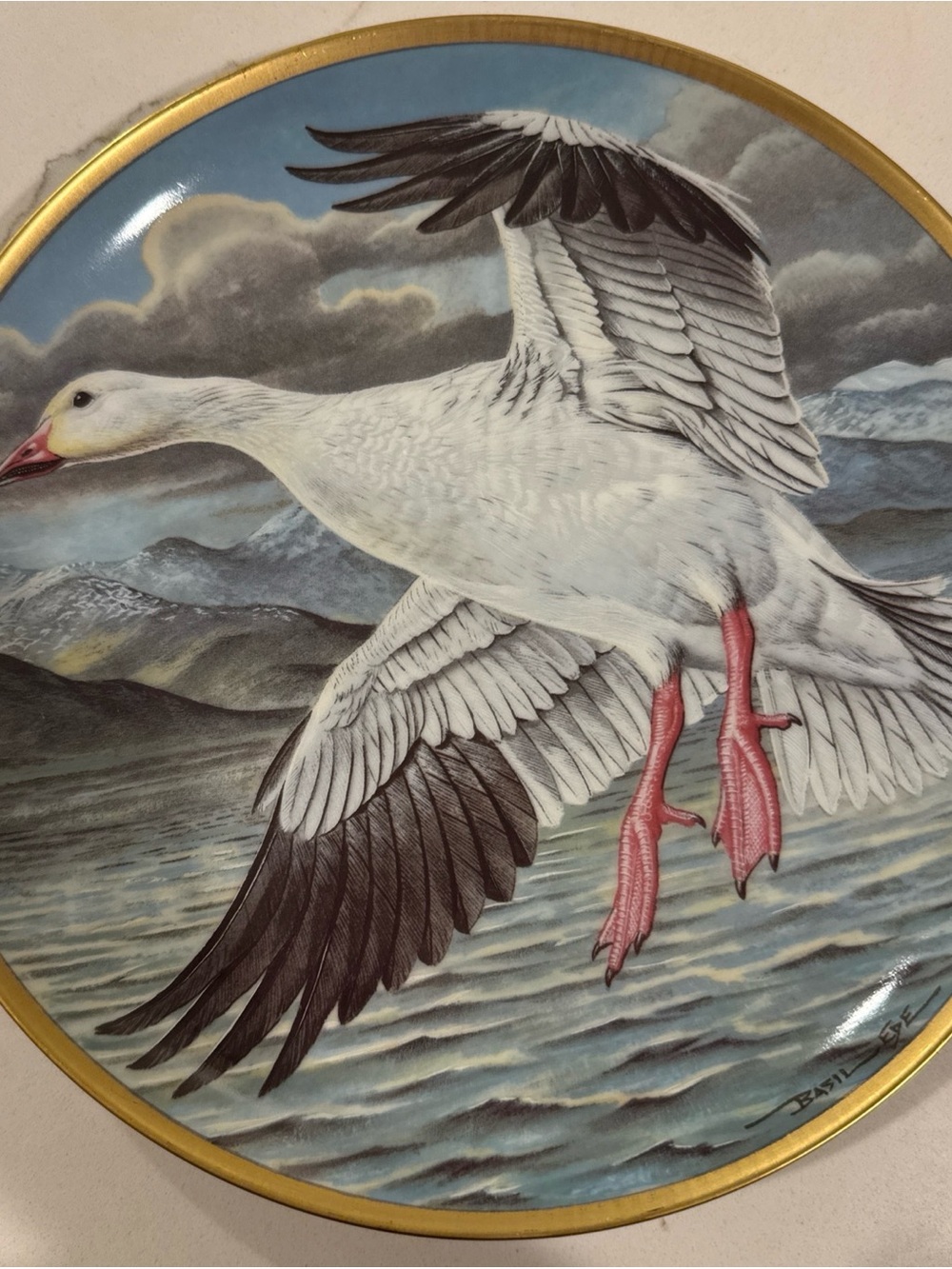 Water Birds of the World ~ Snow Goose 9" Porcelain Collector Plate ~ 1981 - 4077
